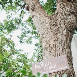 ラフィーノオーシャンの写真11枚目