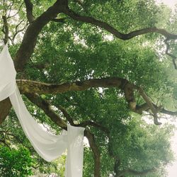 古我邸の写真22枚目