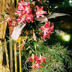 ザ・ガーデンオリエンタル大阪の写真18枚目