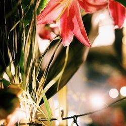 ザ・ガーデンオリエンタル大阪の写真31枚目