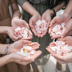 アートグレイス ネクスト アシヤの写真2枚目