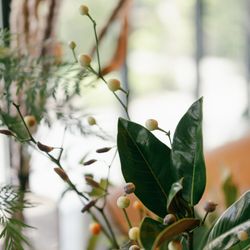 ザ・ガーデンオリエンタル大阪の写真5枚目