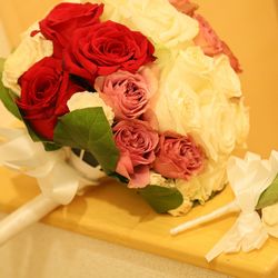 ザ コルトーナ シーサイド台場の写真24枚目