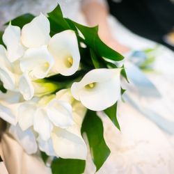 クラシカ表参道の写真3枚目