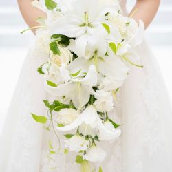 KOTOWA 奈良公園 Premium Viewの写真6枚目