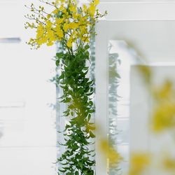 ジェームス邸の写真36枚目