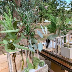 HANDSOME bot GARDENの写真21枚目