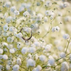 TRUNK HOTELの写真11枚目