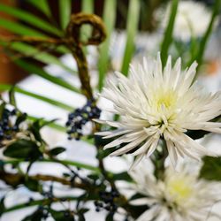 TRUNK HOTELの写真14枚目