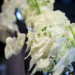 青山セントグレース大聖堂の写真12枚目