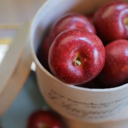 オリエンタルホテル 神戸・旧居留地の写真9枚目
