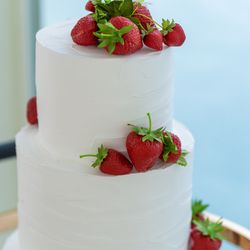 シー シェル ブルーの写真3枚目