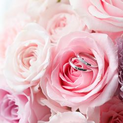 アーカンジェル代官山の写真20枚目