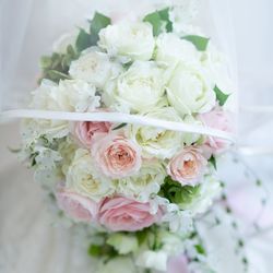 エスプリ・ド・ナチュールの写真2枚目