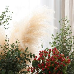 ララシャンス 博多の森の写真17枚目