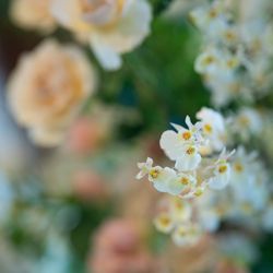 ザ ソウドウ 東山 京都の写真18枚目