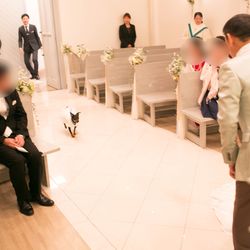 アールベルアンジェチャペル嵯峨野の写真20枚目