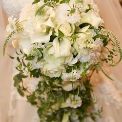 宮の森フランセス教会の写真2枚目