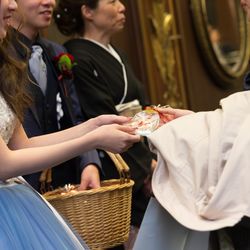 グラストニアの写真33枚目