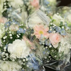 グラストニアの写真32枚目