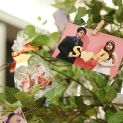 グラストニアの写真5枚目