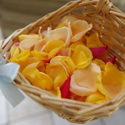 グラストニアの写真28枚目