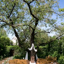 ラ・クラリエールの写真6枚目