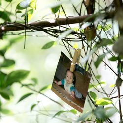 ラ・クラリエールの写真6枚目