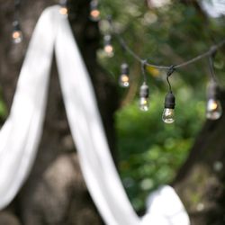 ラ・クラリエールの写真31枚目