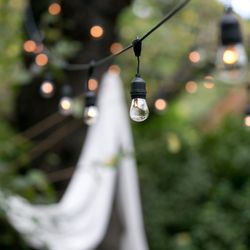 ラ・クラリエールの写真27枚目