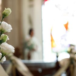 グラストニアの写真4枚目