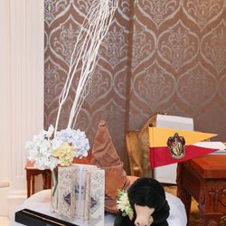 グラストニアの写真1枚目