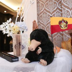 グラストニアの写真19枚目