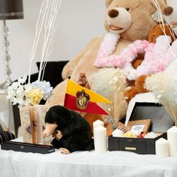 グラストニアの写真8枚目