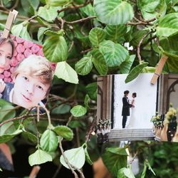 グラストニアの写真19枚目