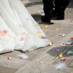 グラストニアの写真3枚目