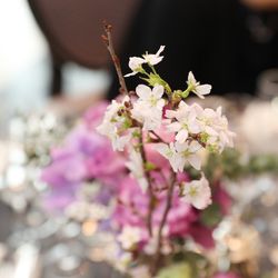 グラストニアの写真14枚目