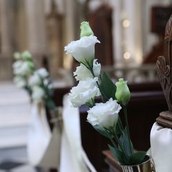 グラストニアの写真34枚目