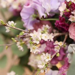 グラストニアの写真24枚目