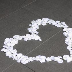 TRUNK HOTELの写真33枚目