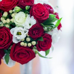 マリエール神水苑の写真2枚目