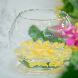 マリエール神水苑の写真29枚目