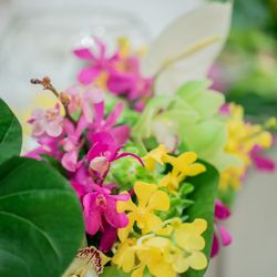 マリエール神水苑の写真1枚目