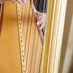 パレスホテル東京の写真5枚目