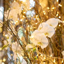 ザ・ガーデンオリエンタル大阪の写真10枚目