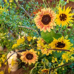 ザ ソウドウ 東山 京都の写真1枚目