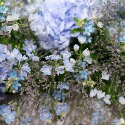 ザ・リッツ・カールトン東京の写真28枚目