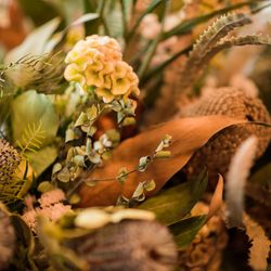 アマンダンブルー鎌倉の写真20枚目