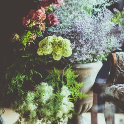 普門園の写真21枚目