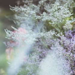 普門園の写真11枚目